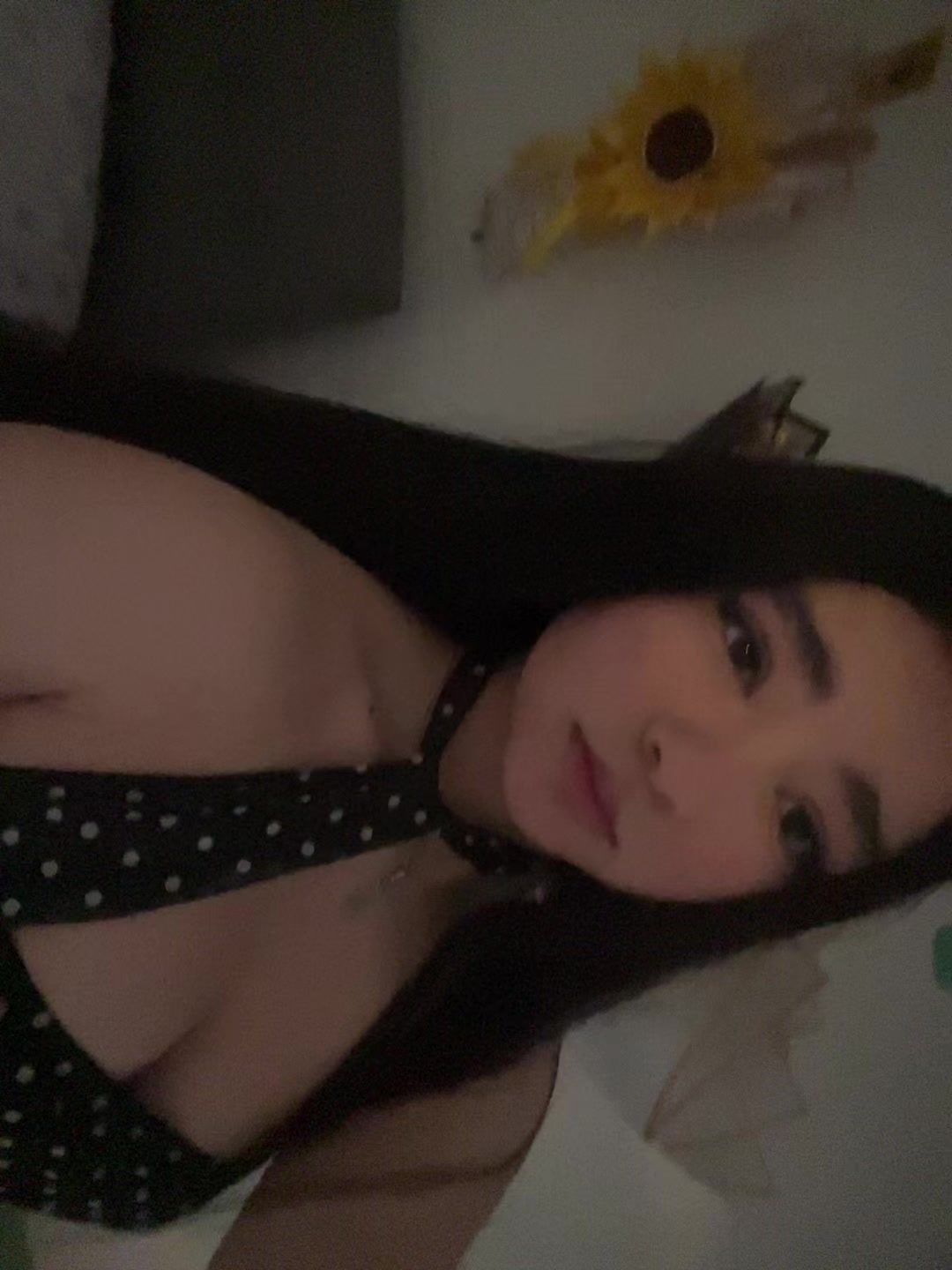 @🪽
