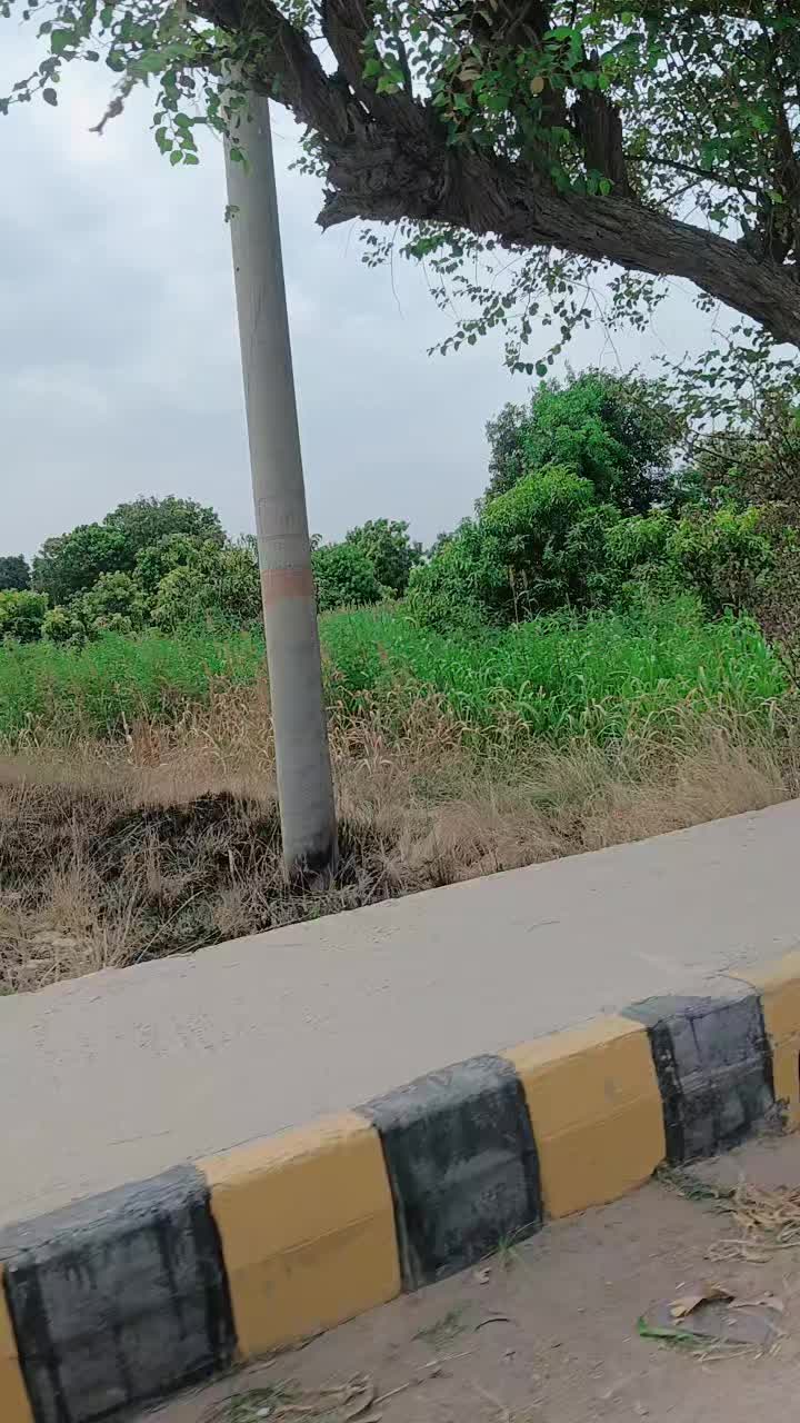 @Tasleem Bano Multan