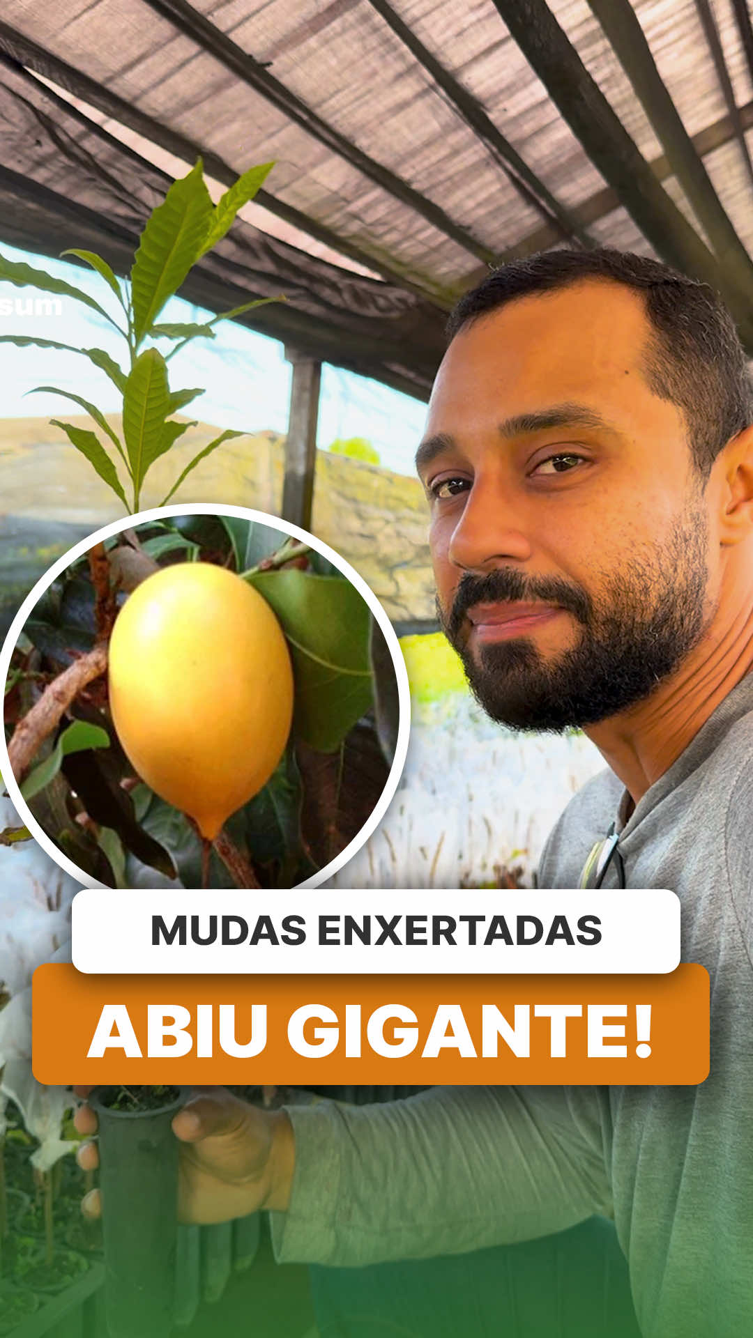 @ViveiroProMudas