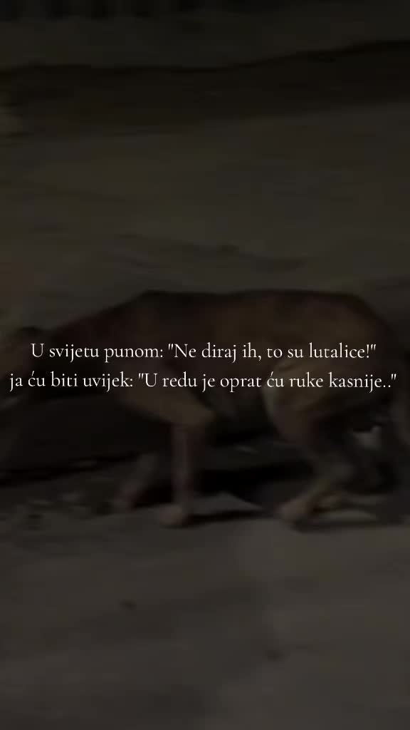 @a.m.✨️