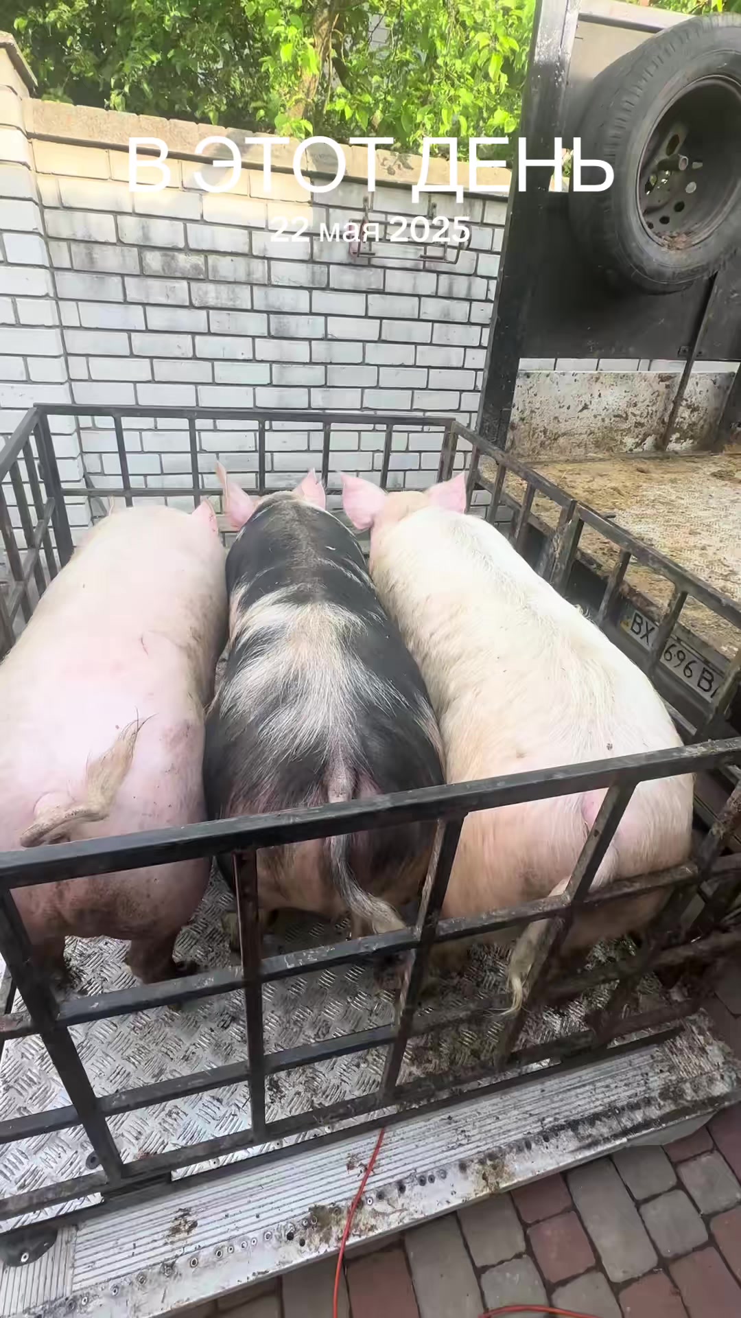 @Олександр
