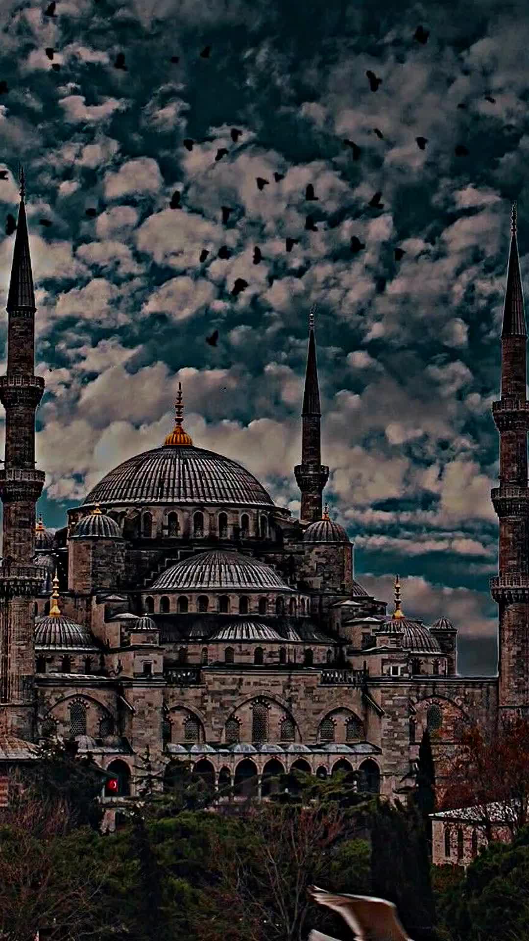 @⚘️ سـتـوريـات ☘️
