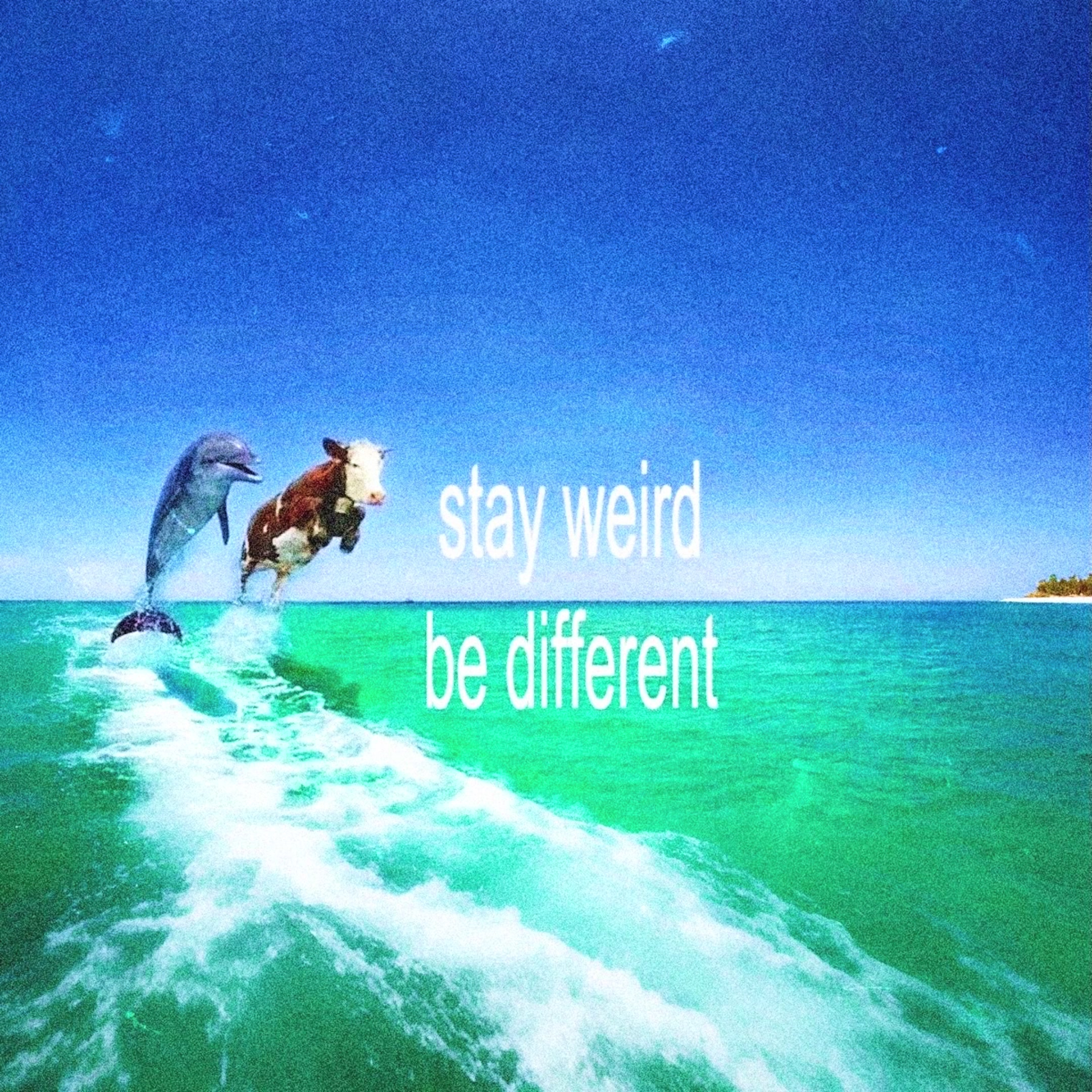 @𝘛𝘩𝘰𝘳𝘧𝘪𝘯𝘤𝘰𝘳𝘦