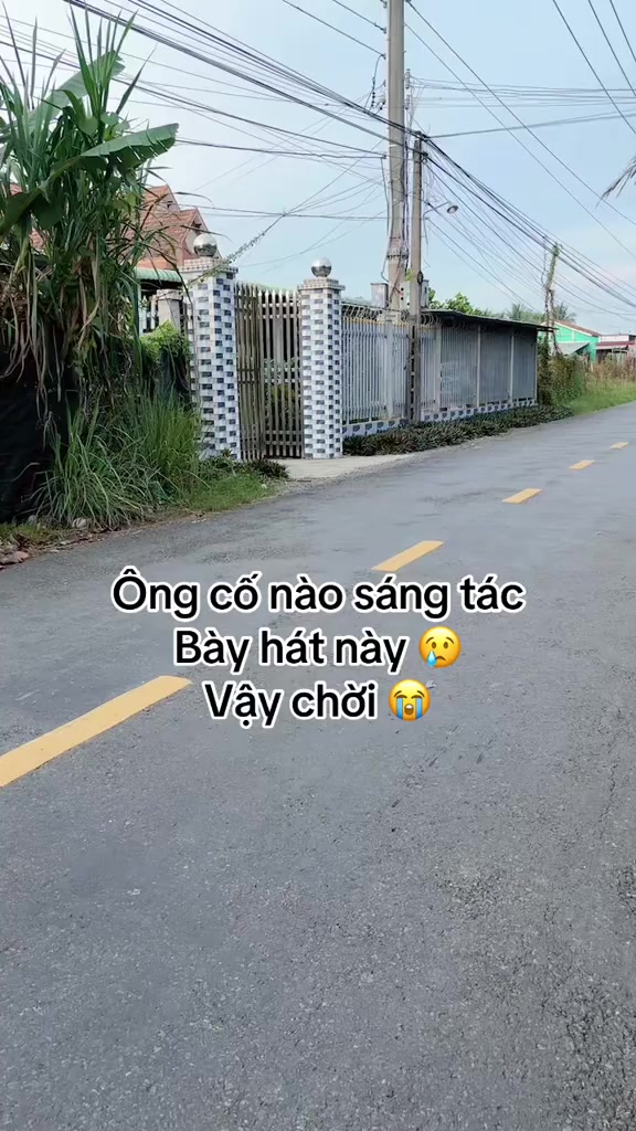 @Mr Linh