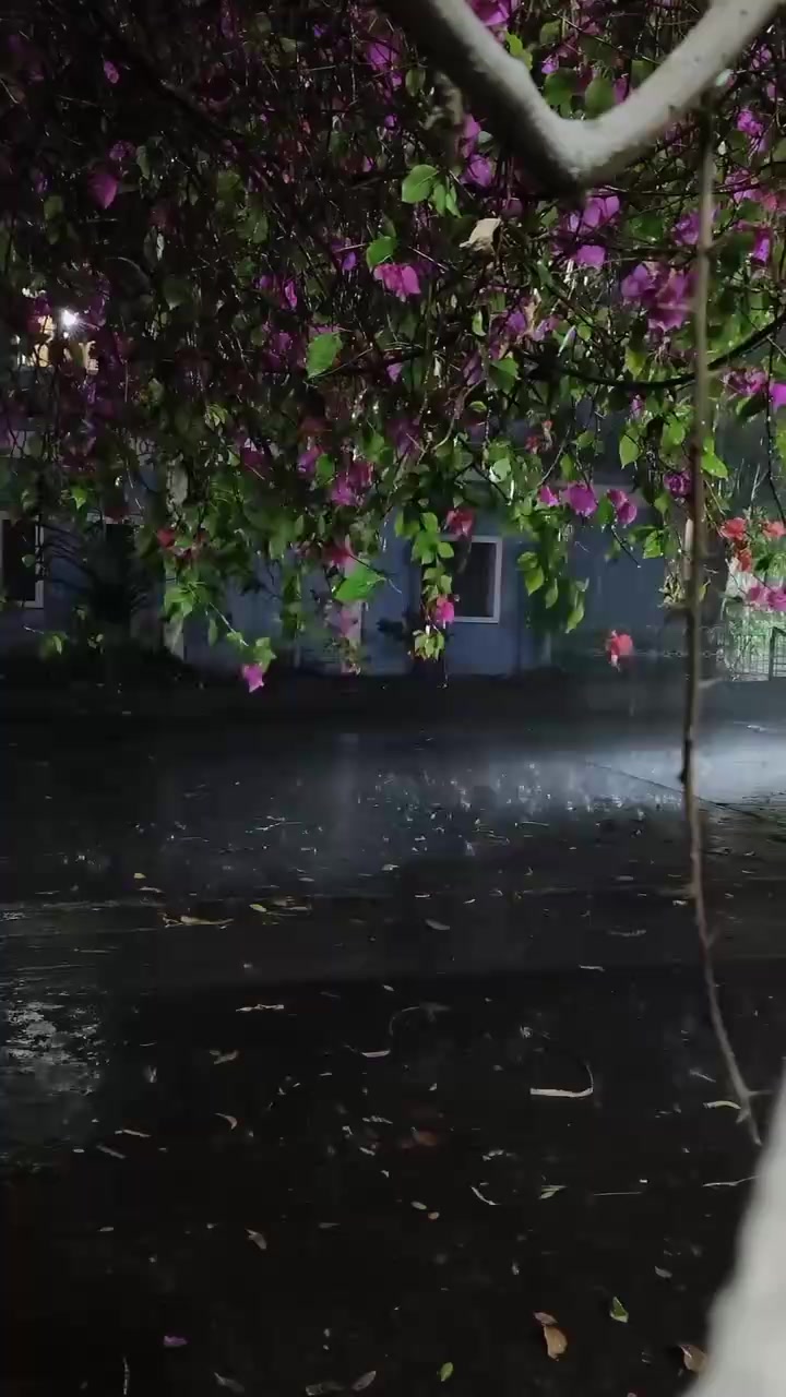 @𝐒ᡣ𐭩࣪⋆
