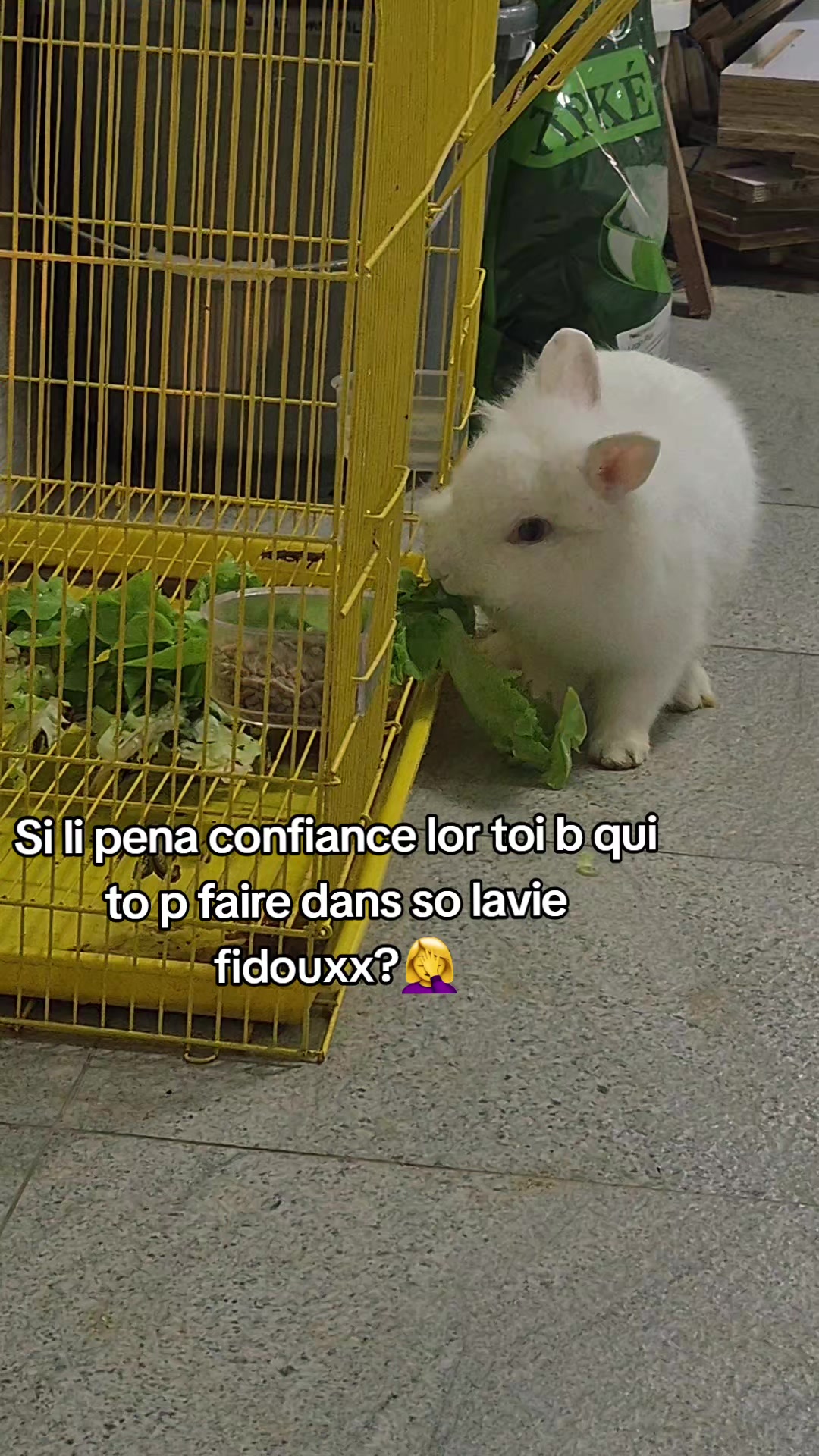 @โ๐ฆ
โ