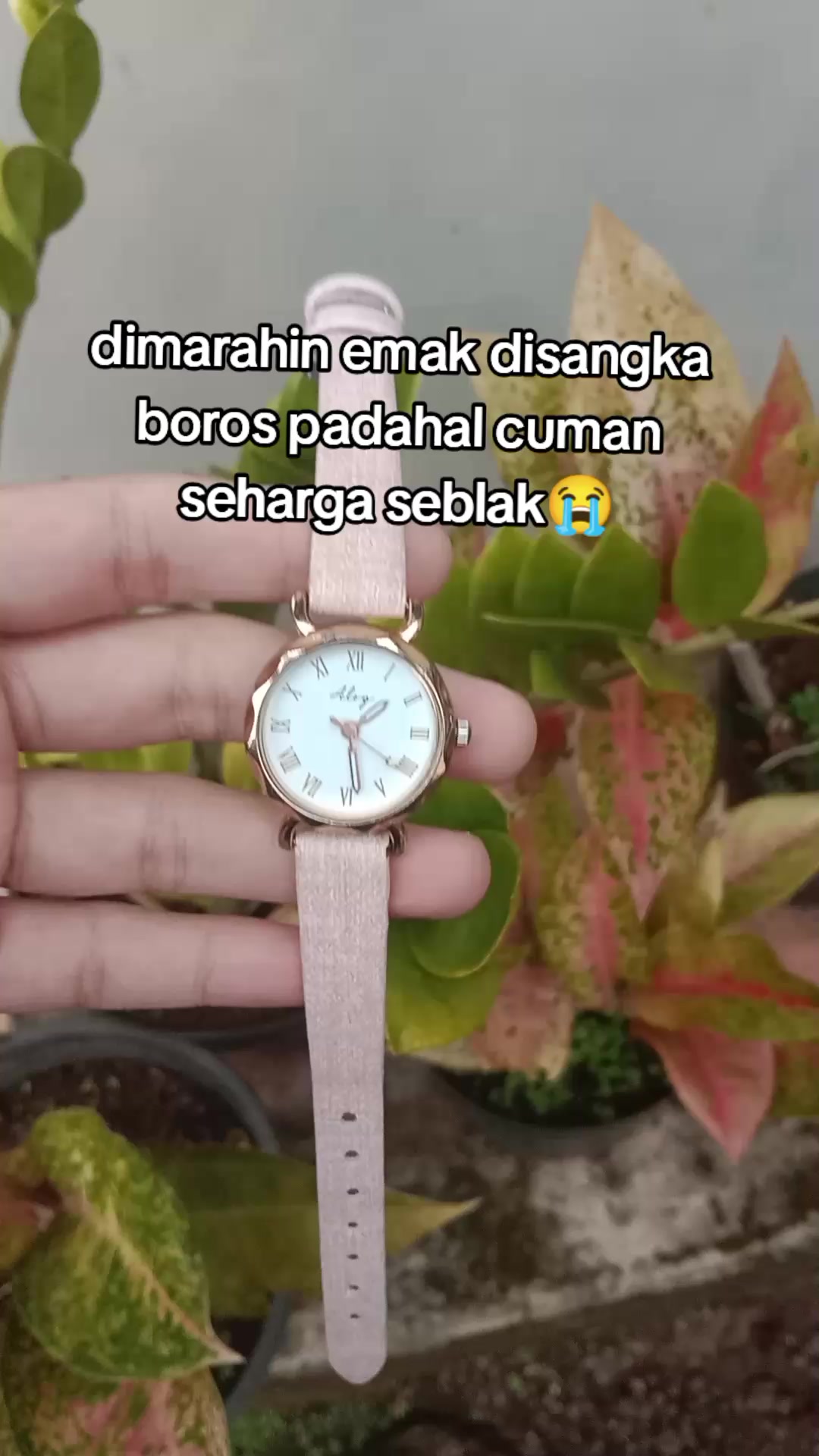 @S-tetik 🛒