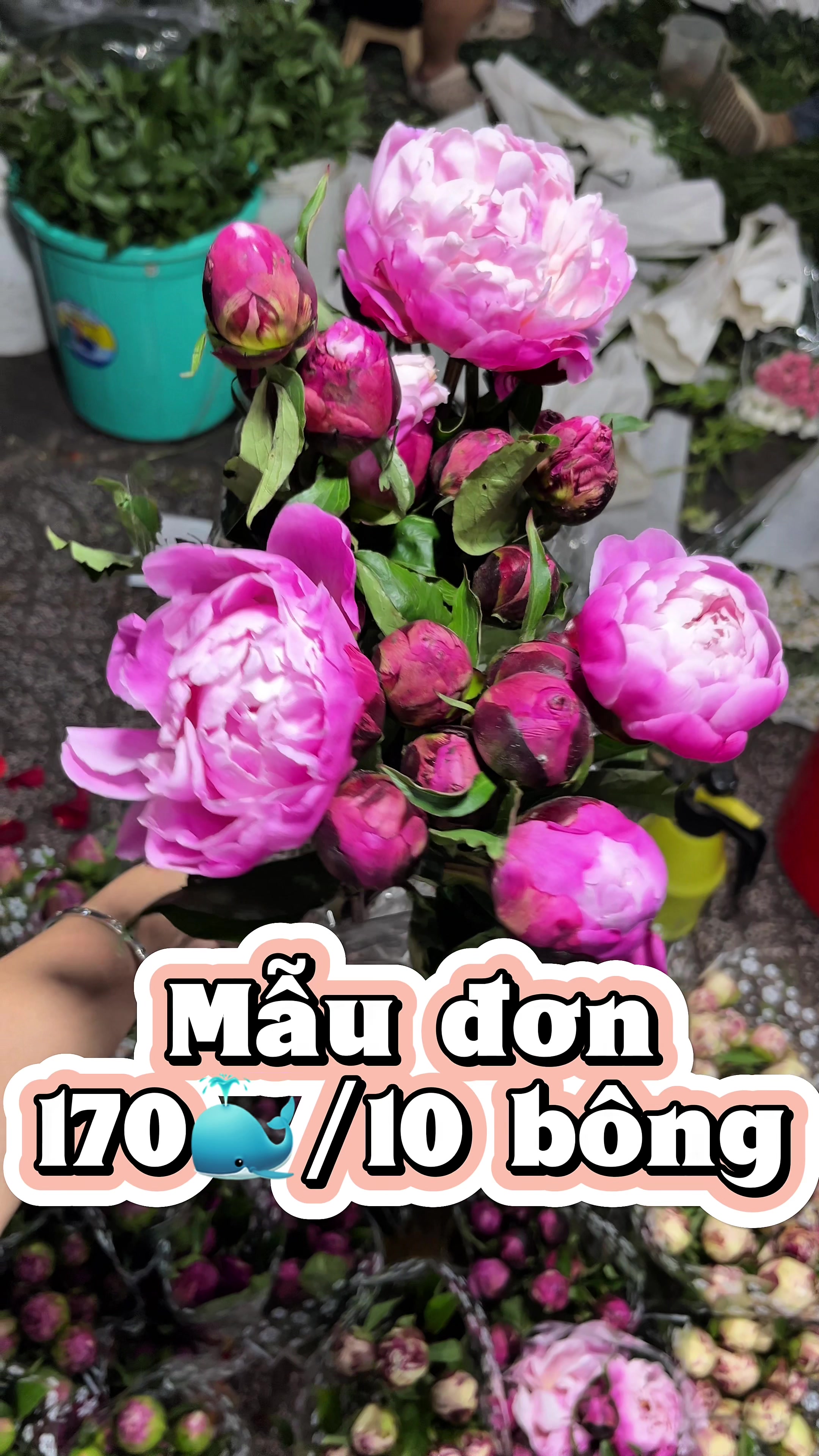 @Hoa Tươi Như Hoa Chợ Đ&igrave;nh
