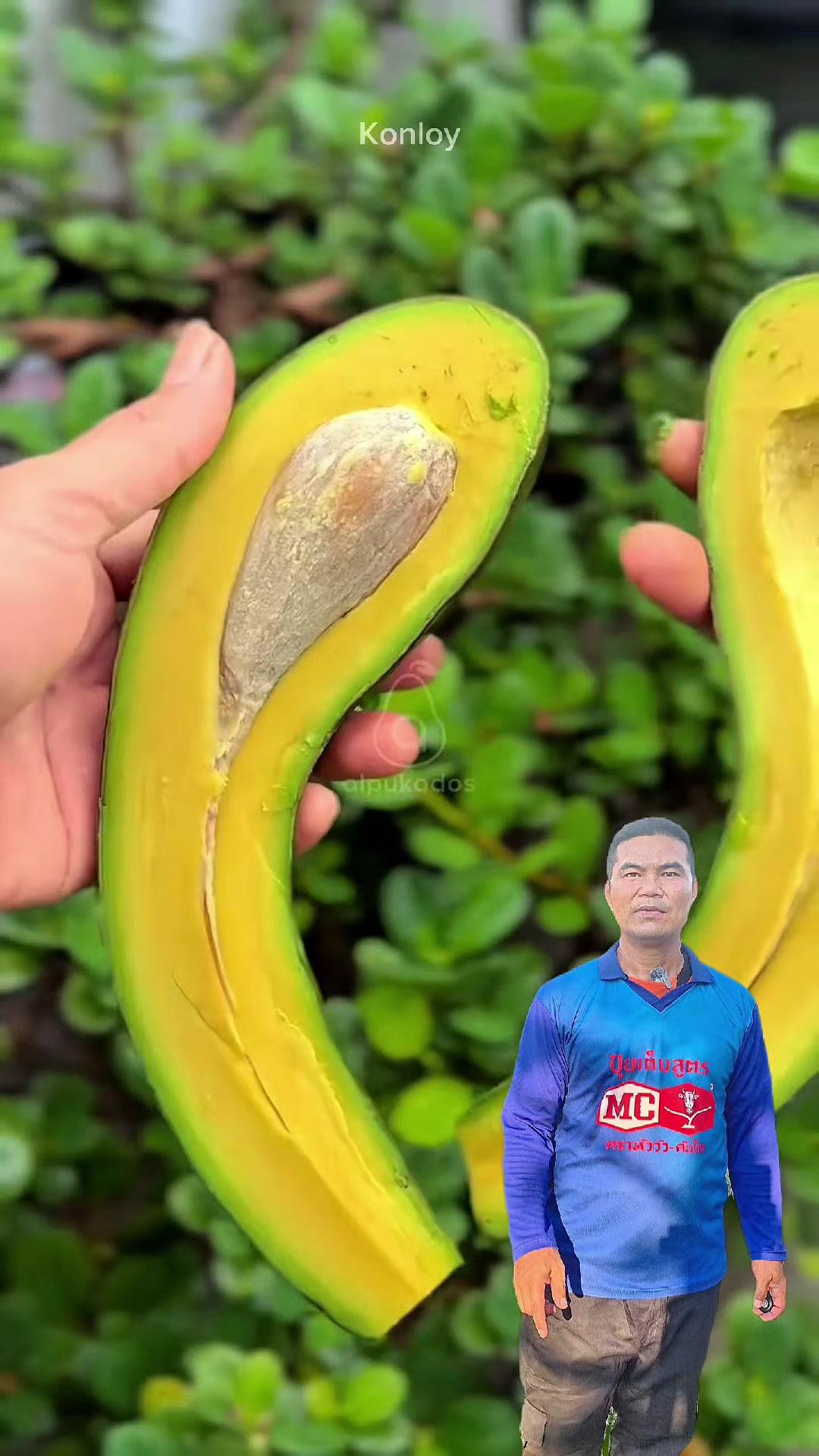 @Konloy