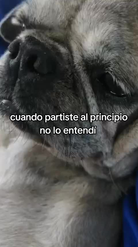 @𝐸𝓇𝒾𝒸𝓀