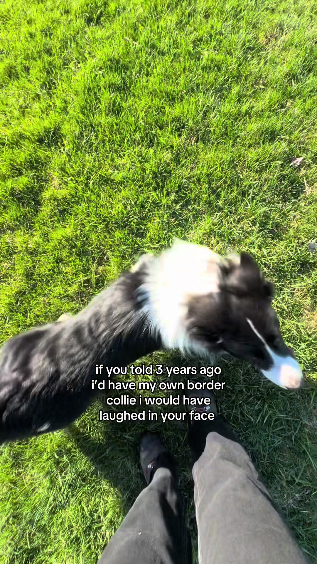 @whereborderswander