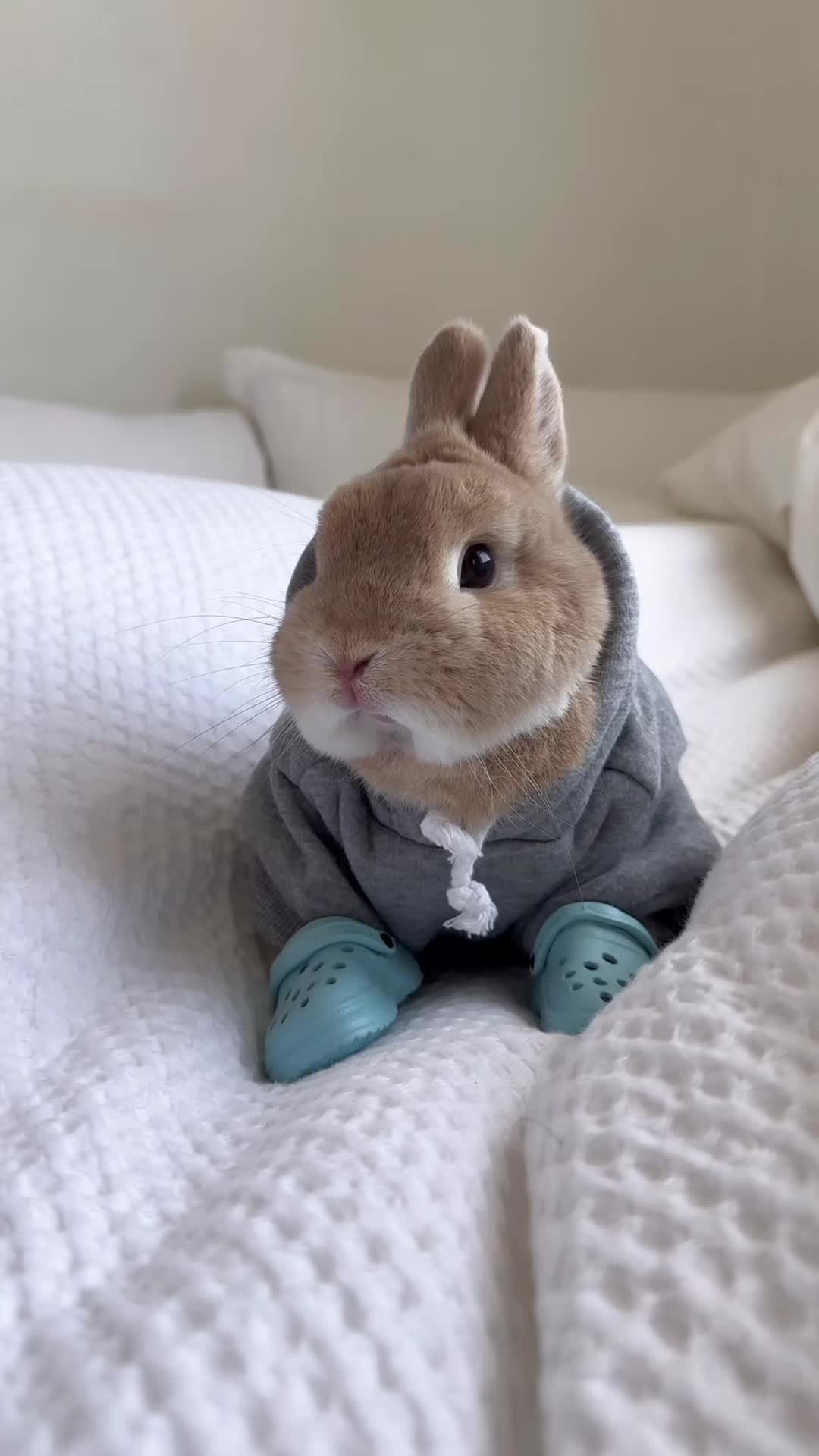 @Bunnydayoff