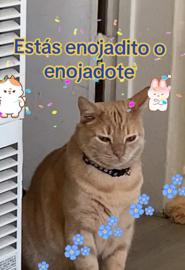 @Rosy