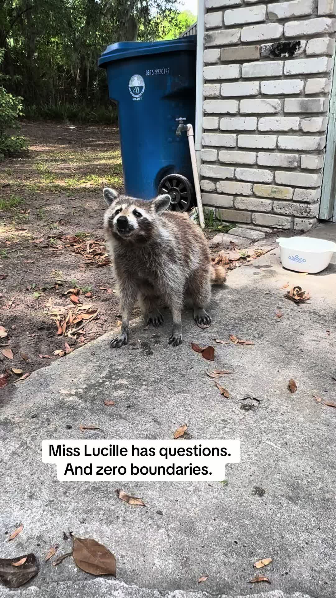 @bonnieontheloose