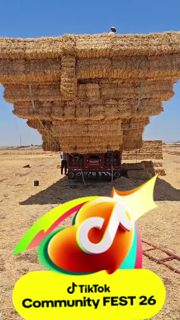 @🇹🇯РеГаР 07 тж🇹🇯