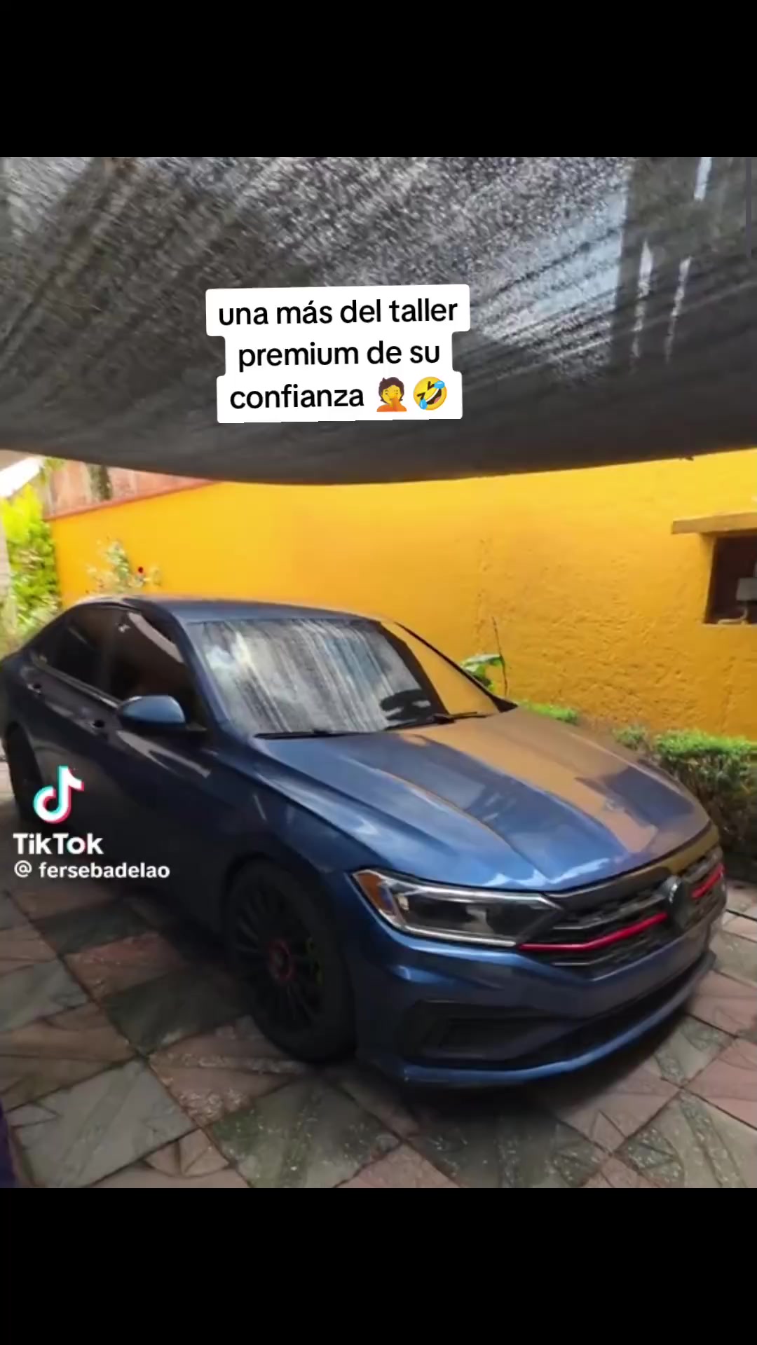 @Mofleselpedregal_1