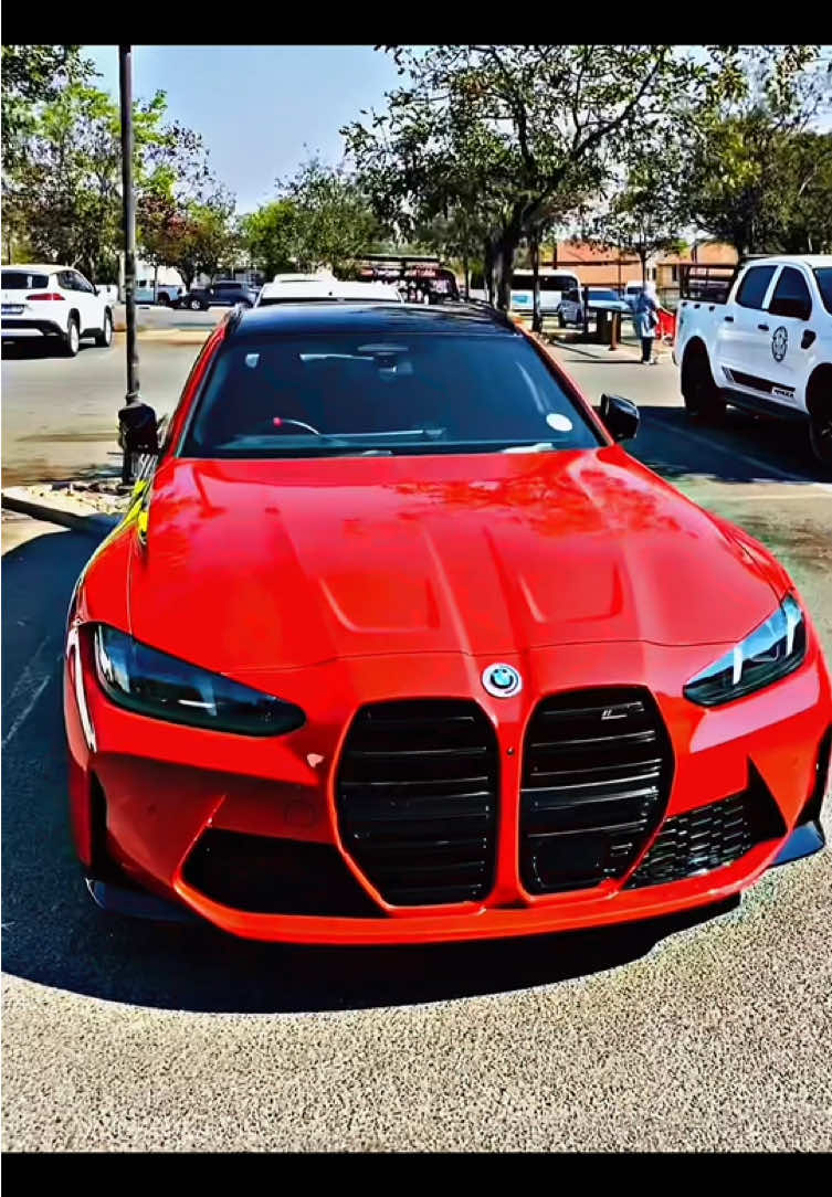 @PLK Exotics