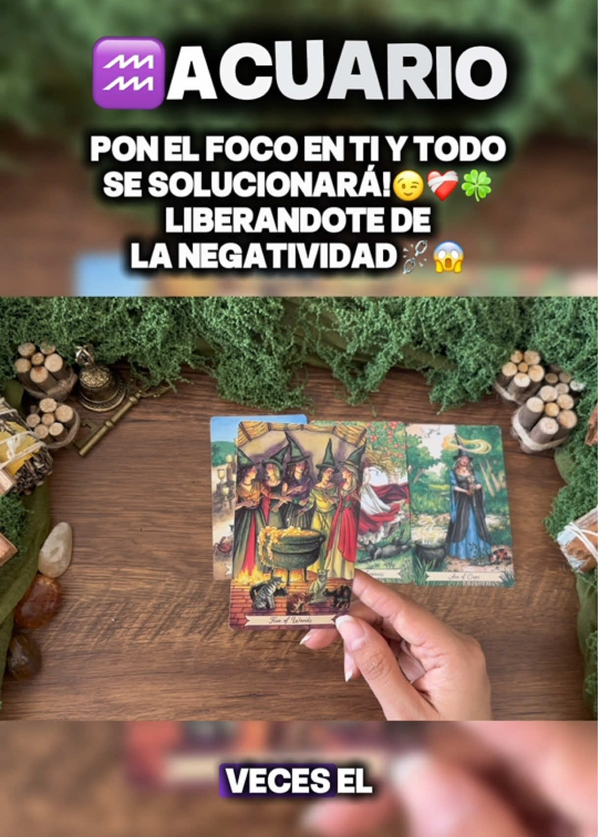 @Andy Sun Tarot ☀️