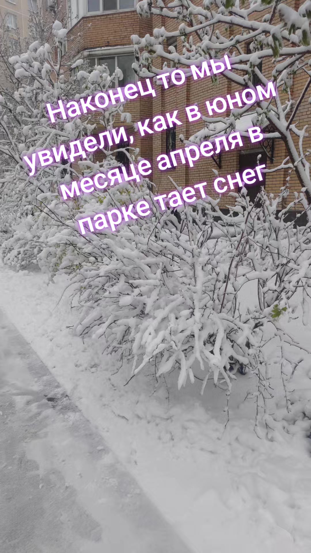 @Елена Каростина