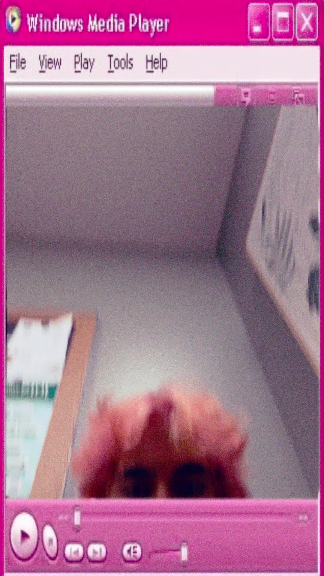 @🌱Uh…dawn 🍄