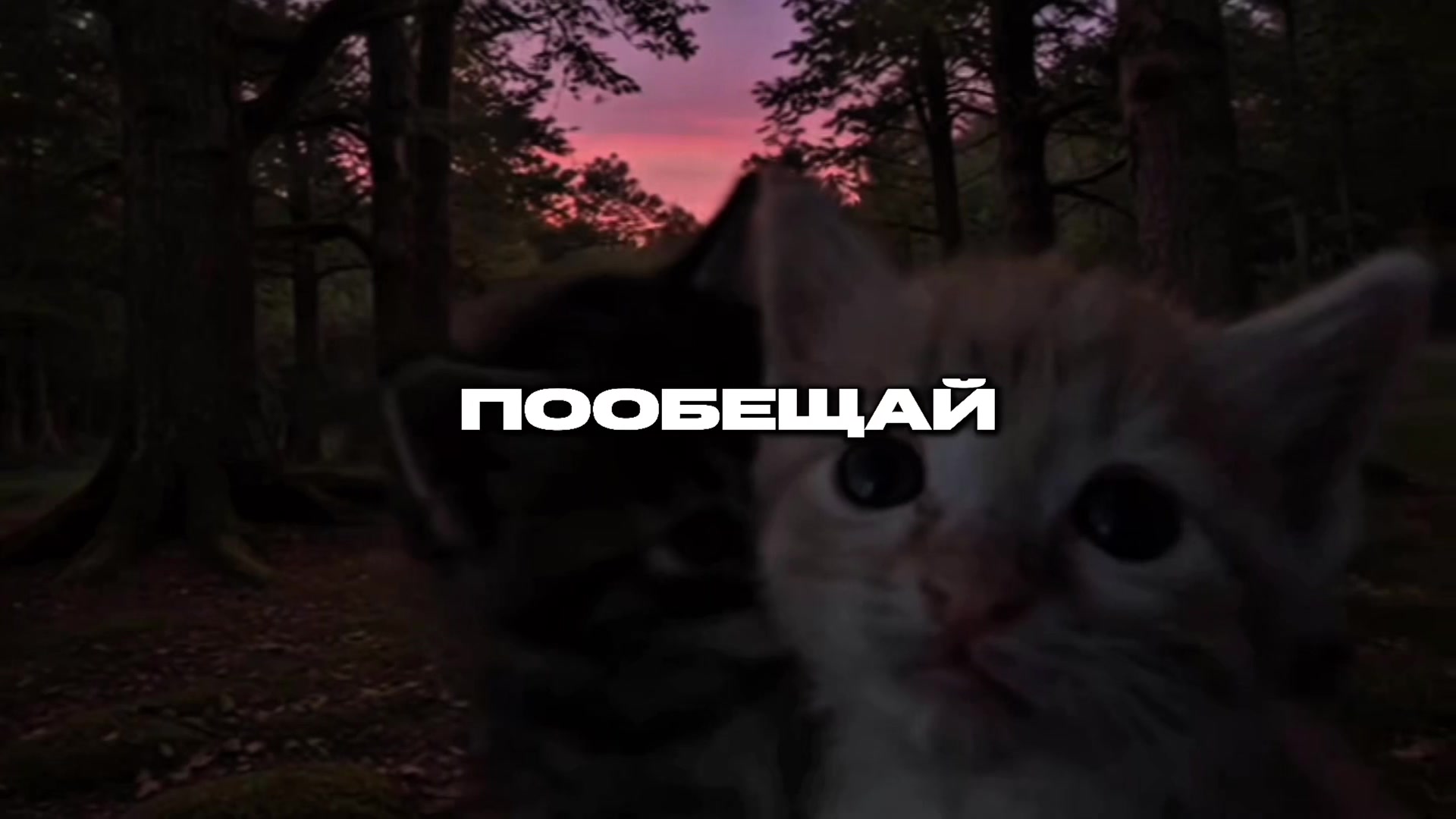 @треки для плей-листа