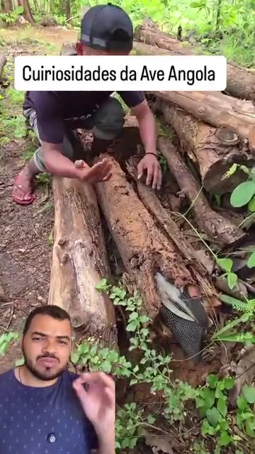 @Obrasilense