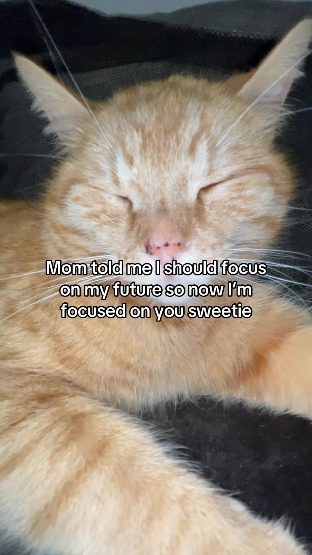 @Simba