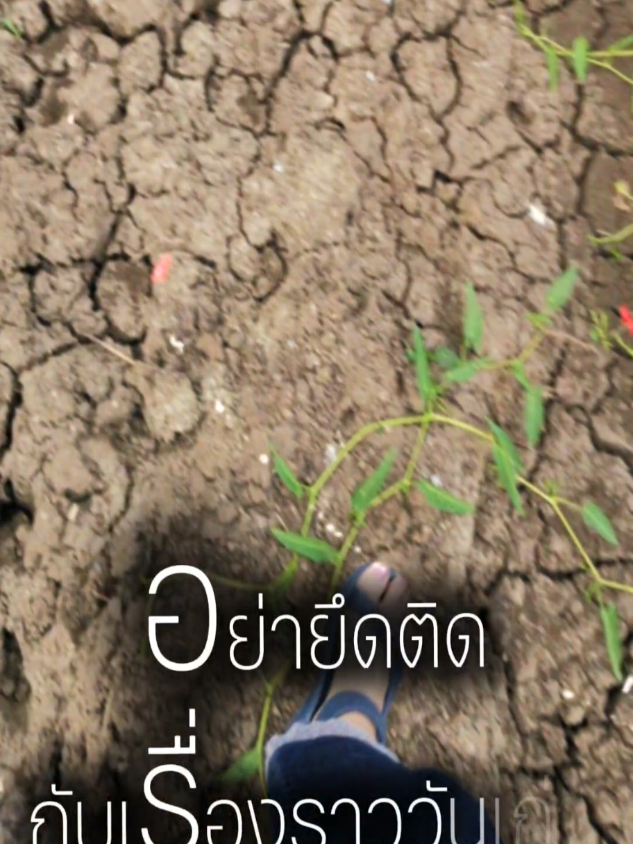 @น้อยน้อยหน่อย5639💰💥🧧🎺