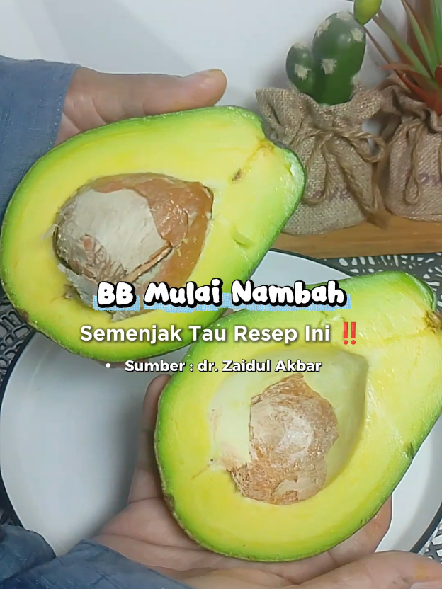 @dapoerbunmik
