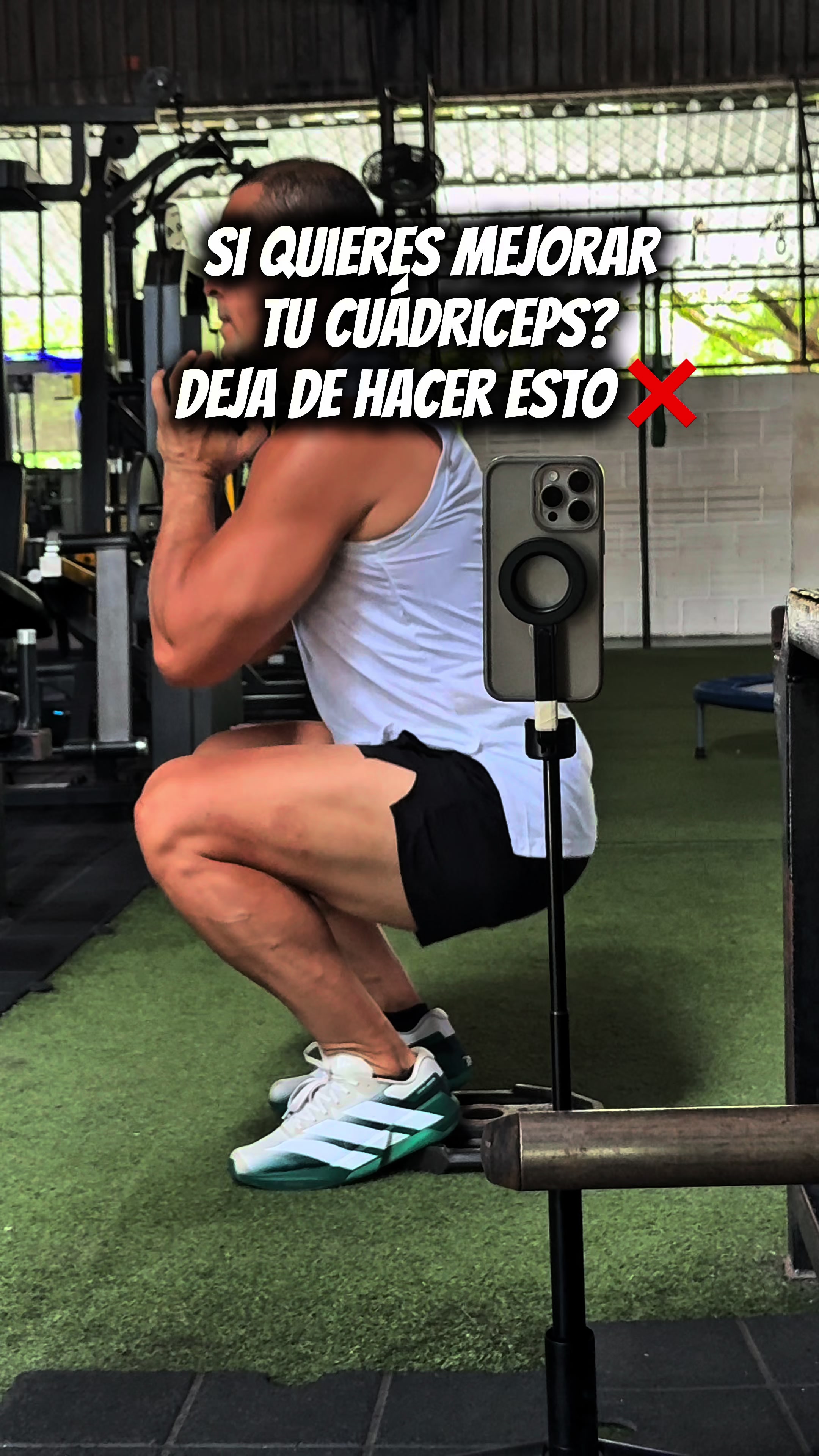 @Wilfran Paez