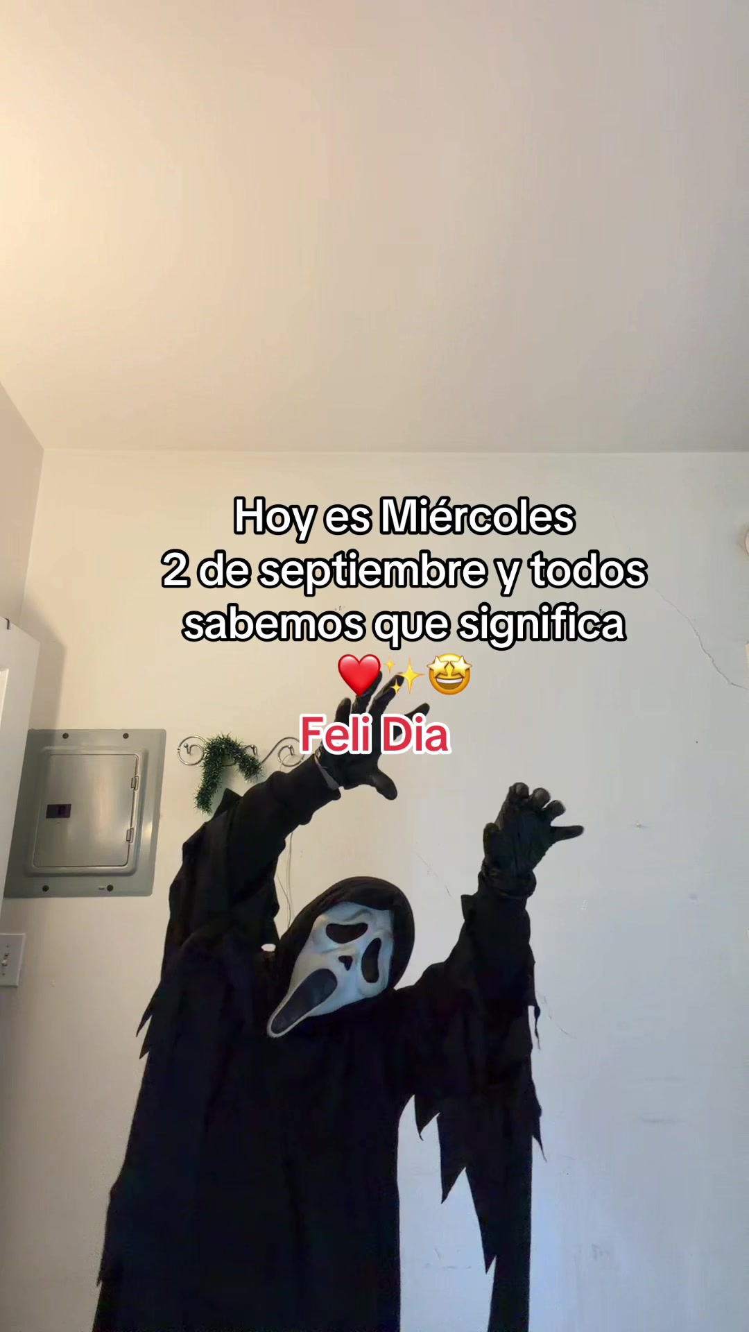 @ghostfaaa