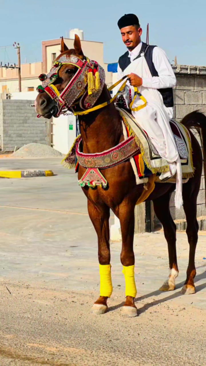 @محمد نافع❤️🔥🐴