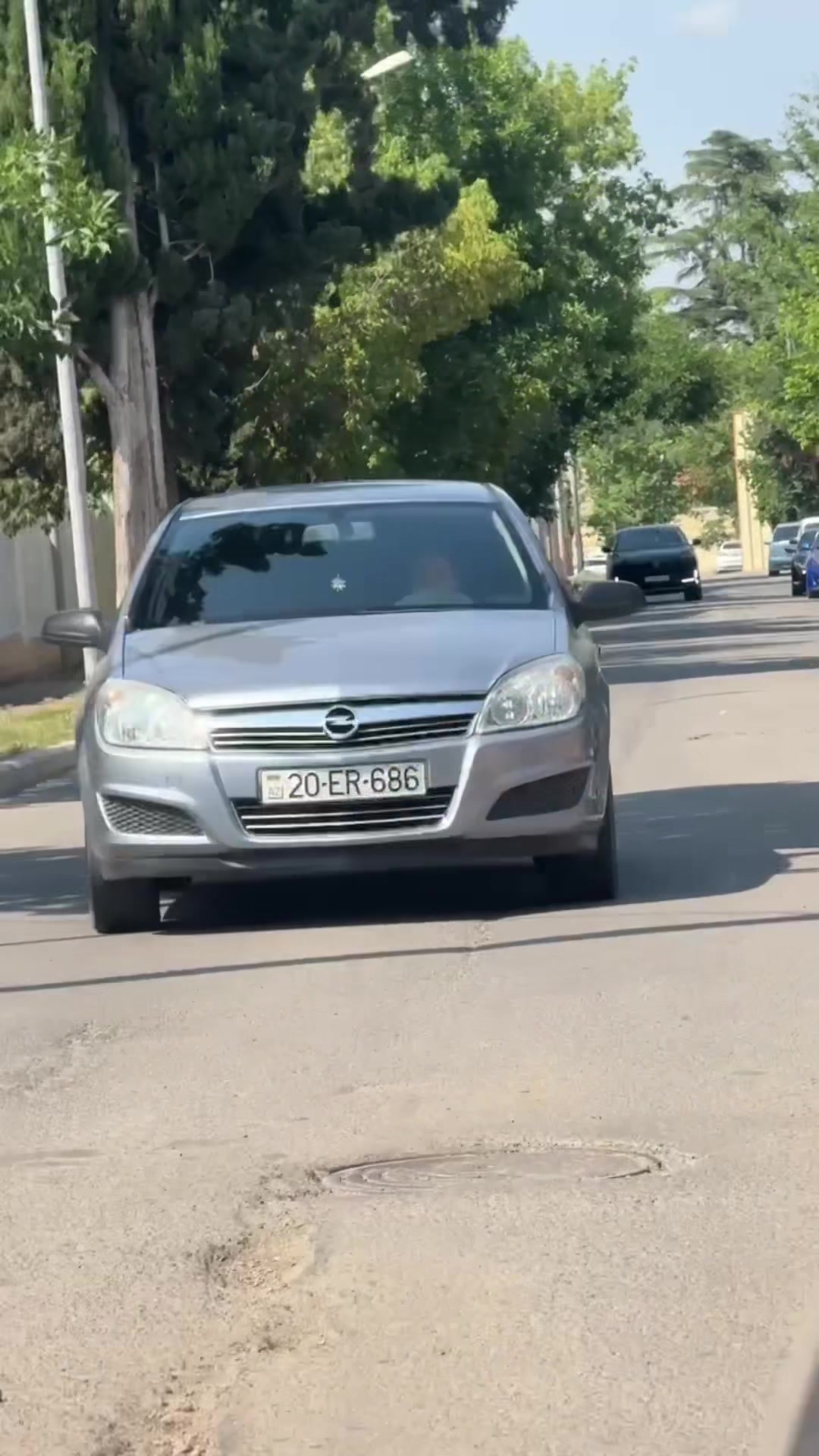 @Bayram Bagirov