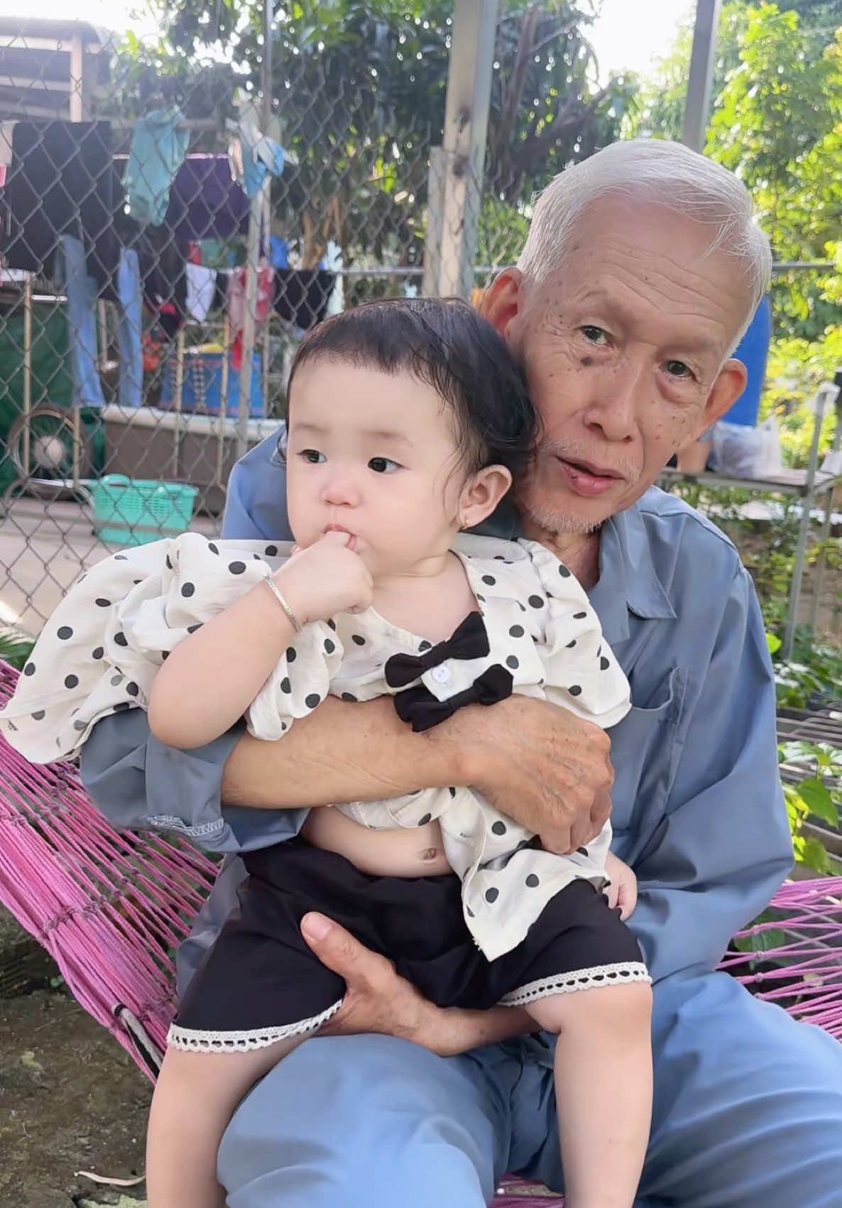 @Thốt nốt trà my