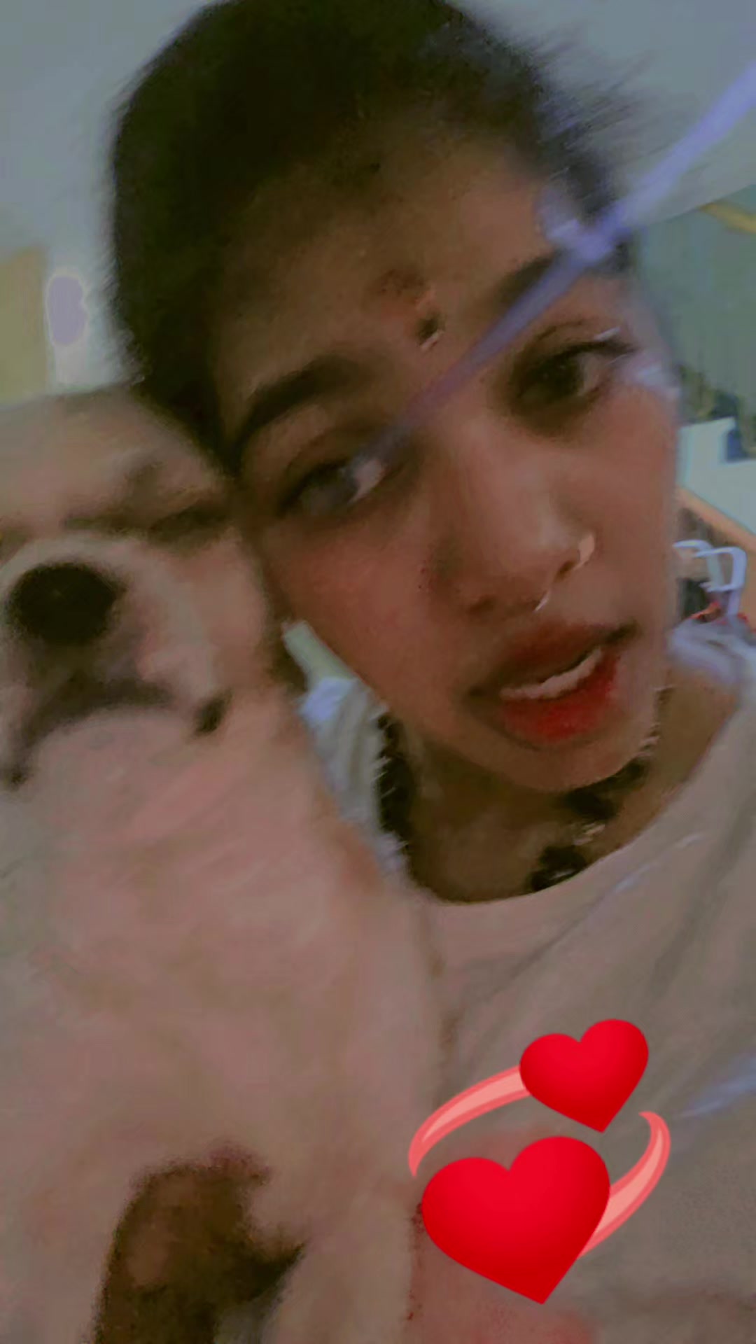 @King🐶❤️🐶❤️🐶❤️