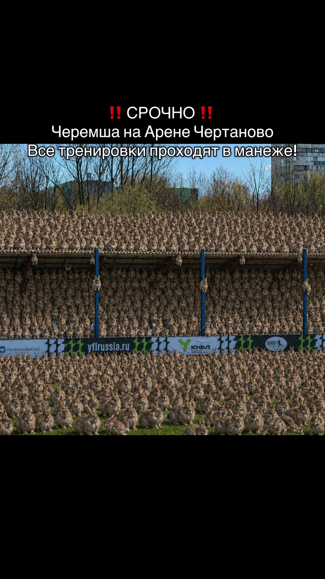 @FC_Chertanovo