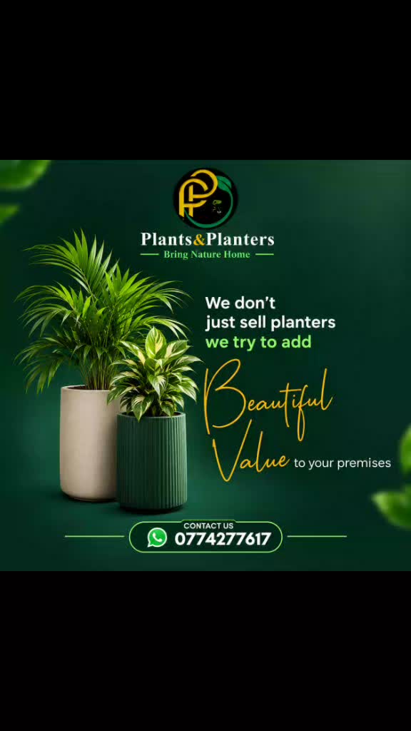 @Plants&PlantersbyChefJ (AJE)