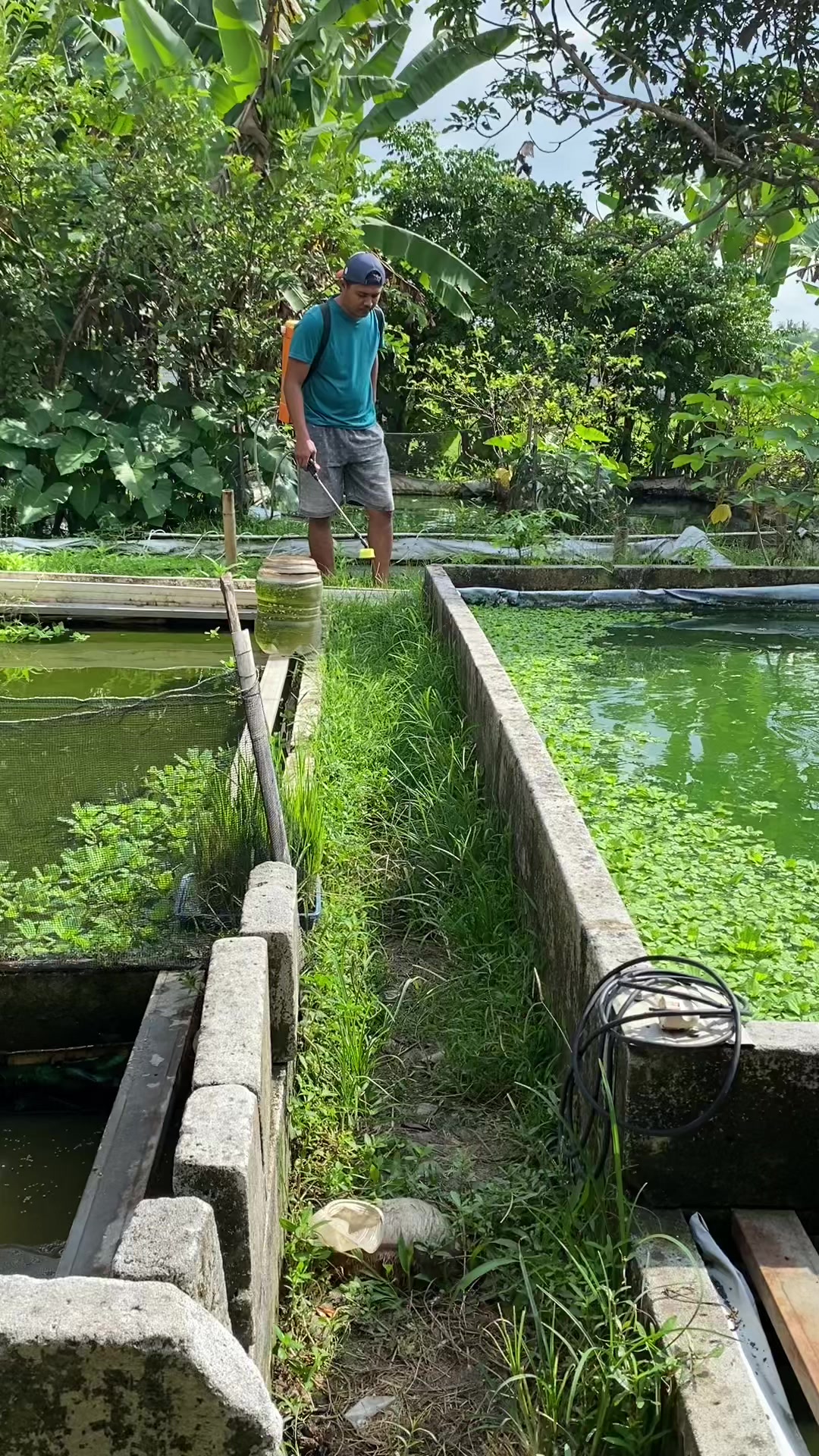 @NAMI TOKOKU