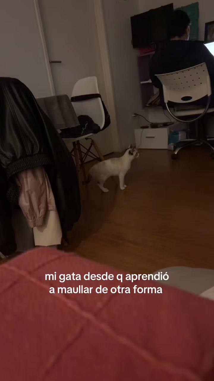 @e.r.i.k.4