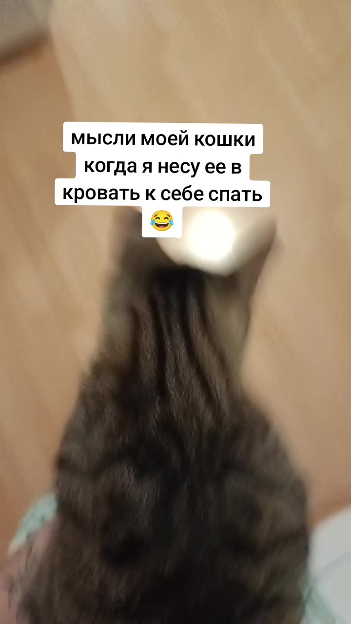 @Мальвінкаа💛💙