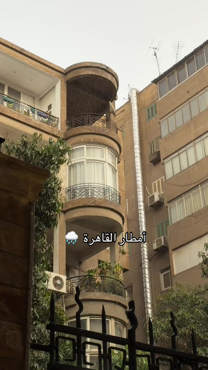 @خليجيون في مصر 🇪🇬