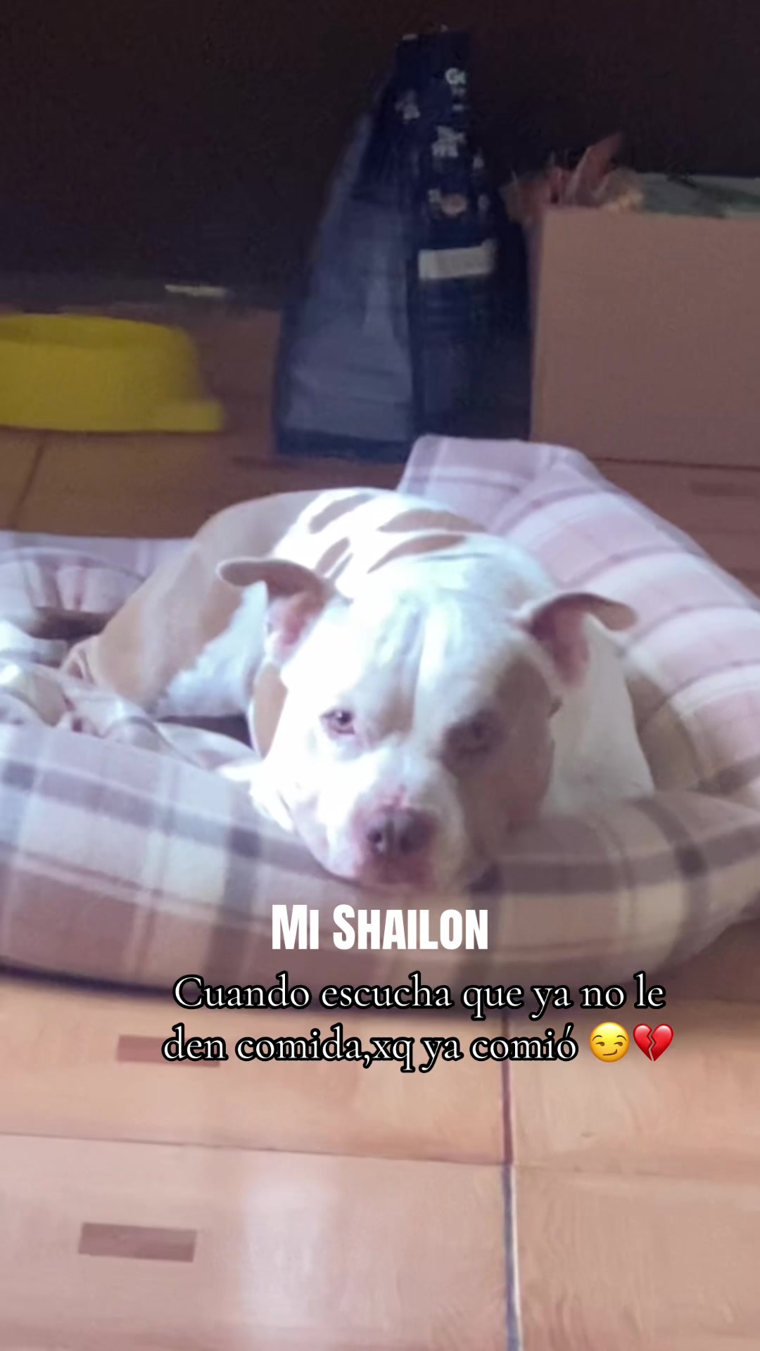 @💜MAVI🥰