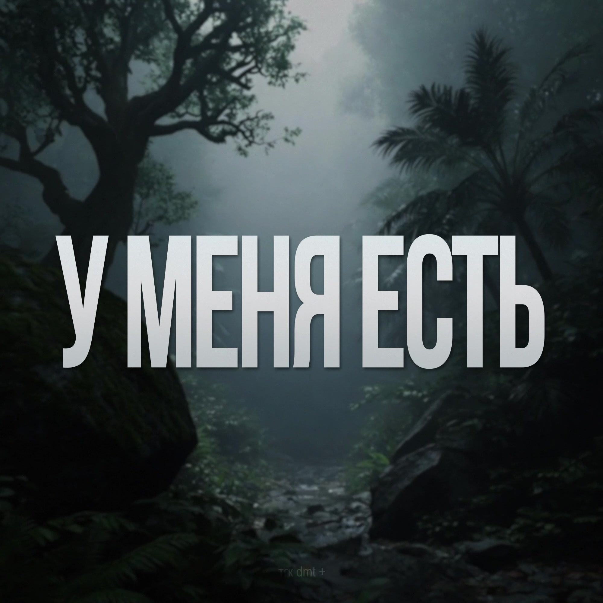 @dmt +