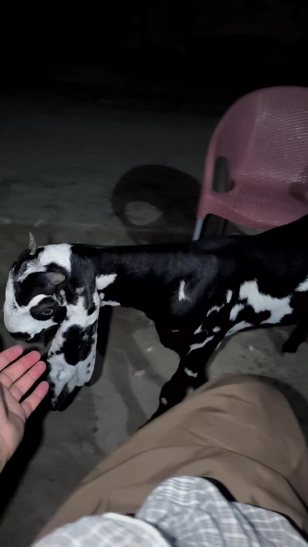 @Måلiķ Ažhăř