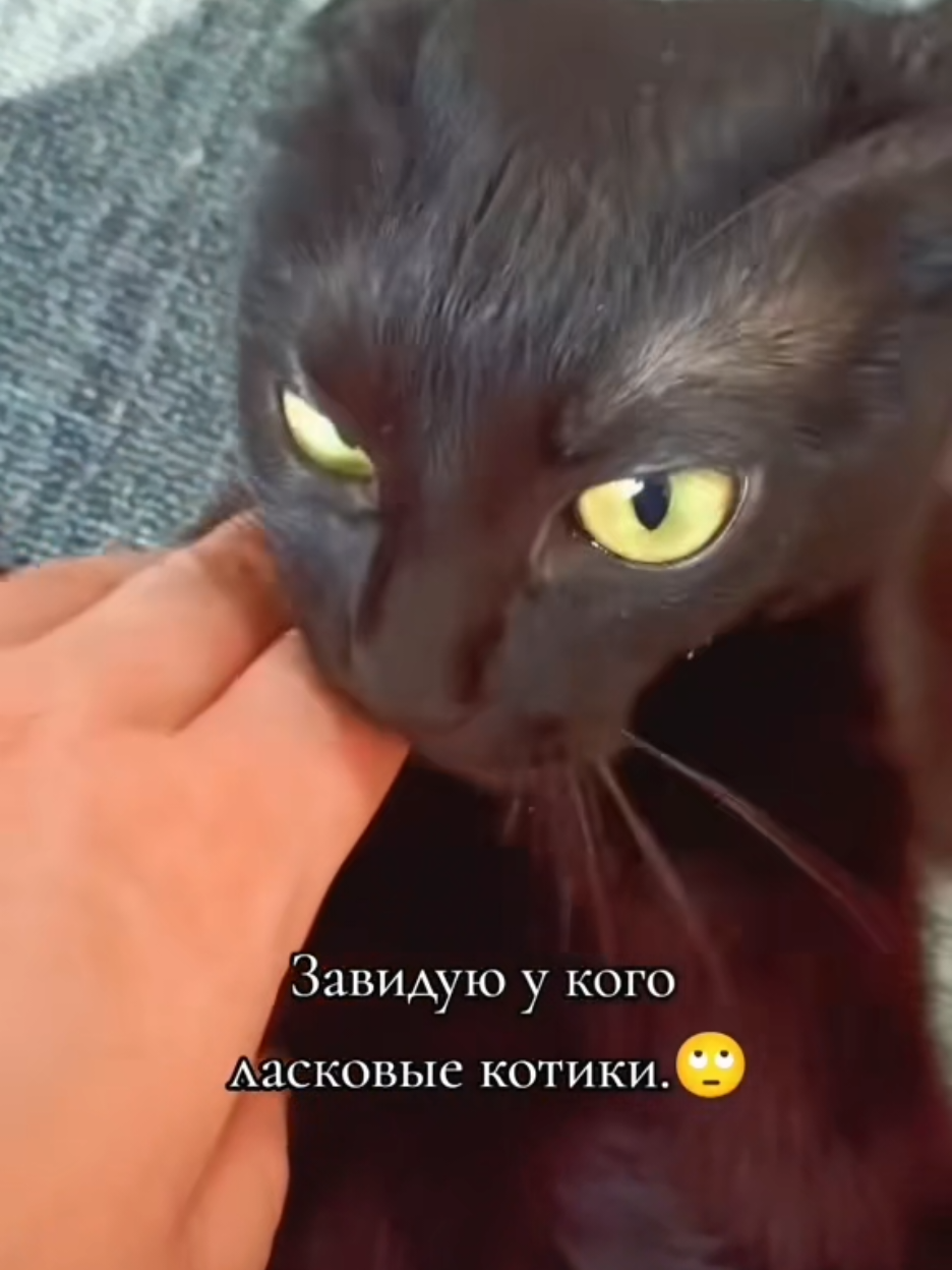 @ИрА😹Эля🐾🐾 ✔