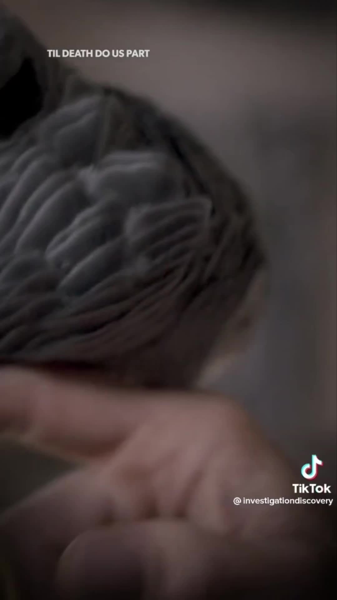 @Turbo