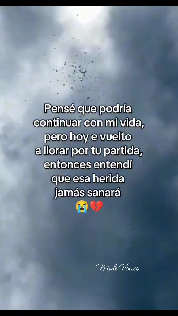 @Mode Vences