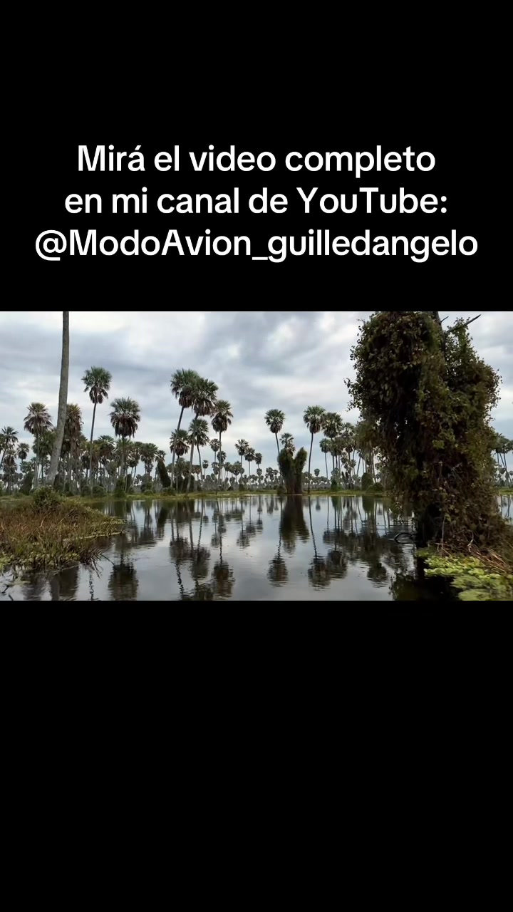 @modo.avion891