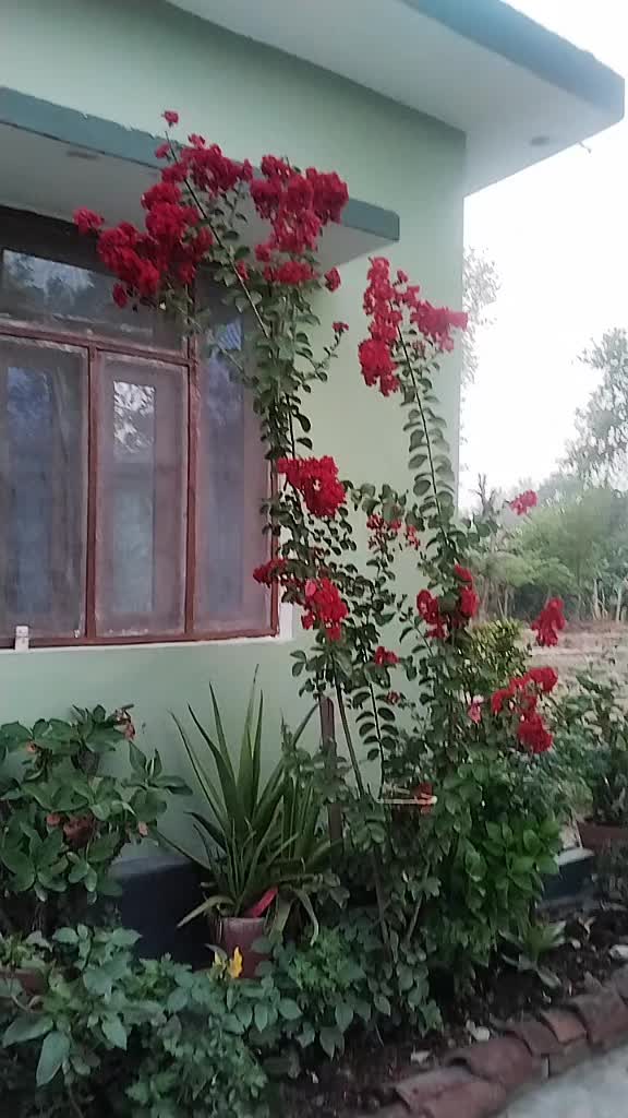 @hirabist21