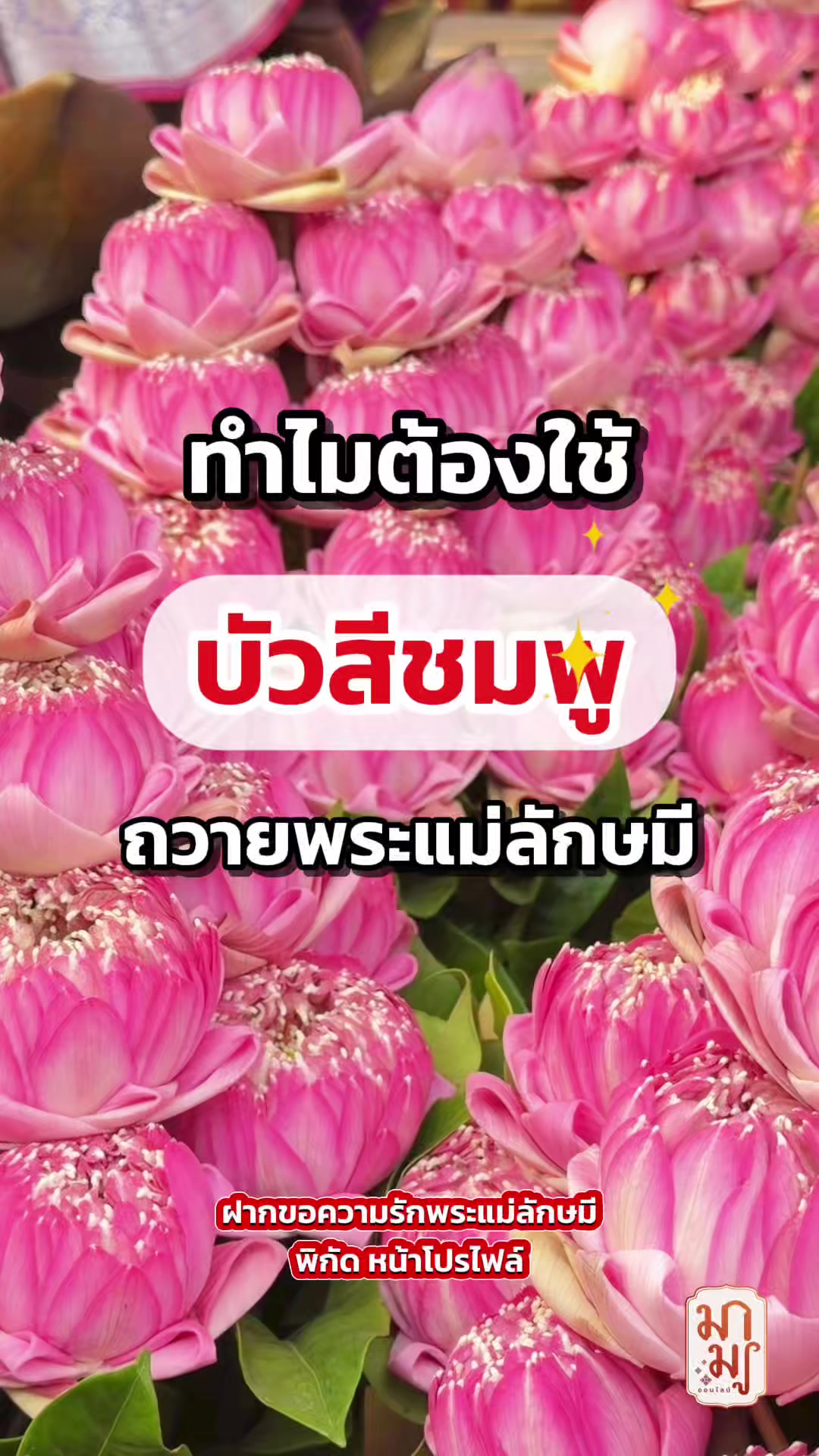 @มามู ออนไลน์ - ฝากไหว้ขอพร
